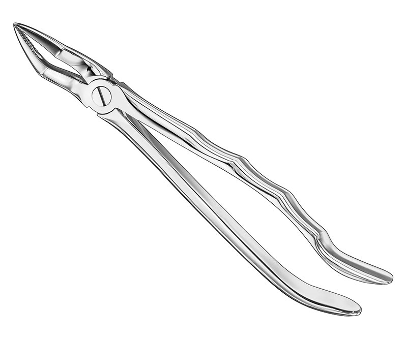 Extracting forceps, anat.