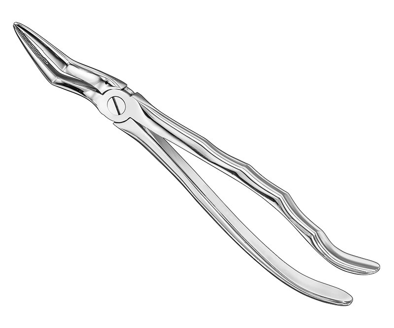 Extracting forceps, anat.