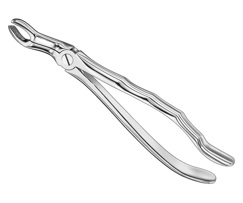 Extracting forceps, anat.