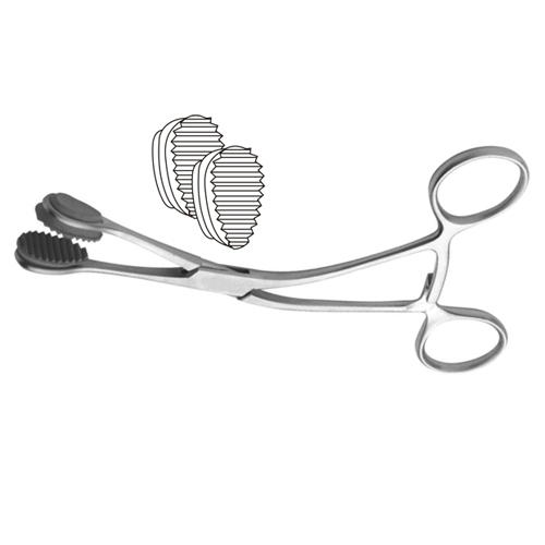 Young Tongue Holding Forceps